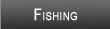 Lake Chesdin Fishing